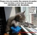 /album/galeria-de-fotos/atirador1-jpg/